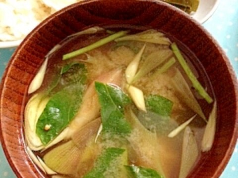 【日本食】みょうがとキャベツ葉のお味噌汁♪
